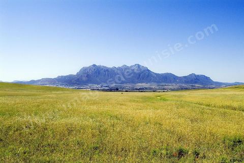 Djebel Zaghouan. Zaghouan est une ville agricole d'origine romaine (Ziqua) construite au pied du Jebel Zaghouan (1295 m) et riche en fontaines d'eau de source. C'est une charmante petite médina agrippée aux flancs du relief boisé. L’architecture sacrée y reflète de profondes influences andalouses puisqu’une communauté de réfugiés andalous s’y installa au XVII° siècle. 