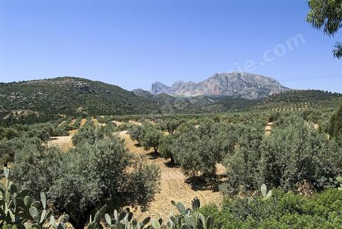 Djebel Zaghouan. Zaghouan est une ville agricole d'origine romaine (Ziqua) construite au pied du Jebel Zaghouan (1295 m) et riche en fontaines d'eau de source. C'est une charmante petite médina agrippée aux flancs du relief boisé. L’architecture sacrée y reflète de profondes influences andalouses puisqu’une communauté de réfugiés andalous s’y installa au XVII° siècle. 