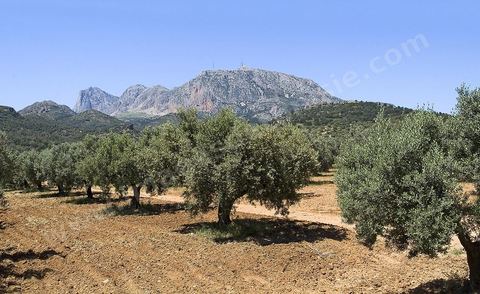 Djebel Zaghouan. Zaghouan est une ville agricole d'origine romaine (Ziqua) construite au pied du Jebel Zaghouan (1295 m) et riche en fontaines d'eau de source. C'est une charmante petite médina agrippée aux flancs du relief boisé. L’architecture sacrée y reflète de profondes influences andalouses puisqu’une communauté de réfugiés andalous s’y installa au XVII° siècle. 