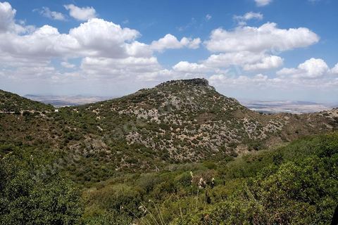 Djebel Zaghouan. Zaghouan est une ville agricole d'origine romaine (Ziqua) construite au pied du Jebel Zaghouan (1295 m) et riche en fontaines d'eau de source. C'est une charmante petite médina agrippée aux flancs du relief boisé. L’architecture sacrée y reflète de profondes influences andalouses puisqu’une communauté de réfugiés andalous s’y installa au XVII° siècle. 