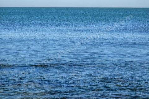 Plage et pêcheurs à La Marsa, ville de la banlieue nord de Tunis est une station balnéaire hupée