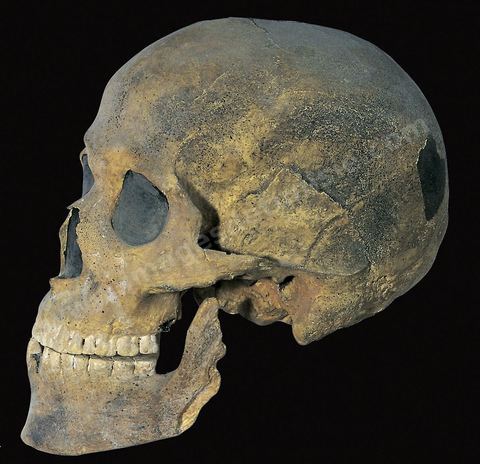 crane du Capsien, 7000 à 4500 av JC, musee du Bardo