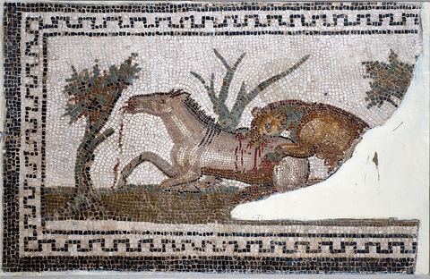 Mosaique du musee national du Bardo - Tunis