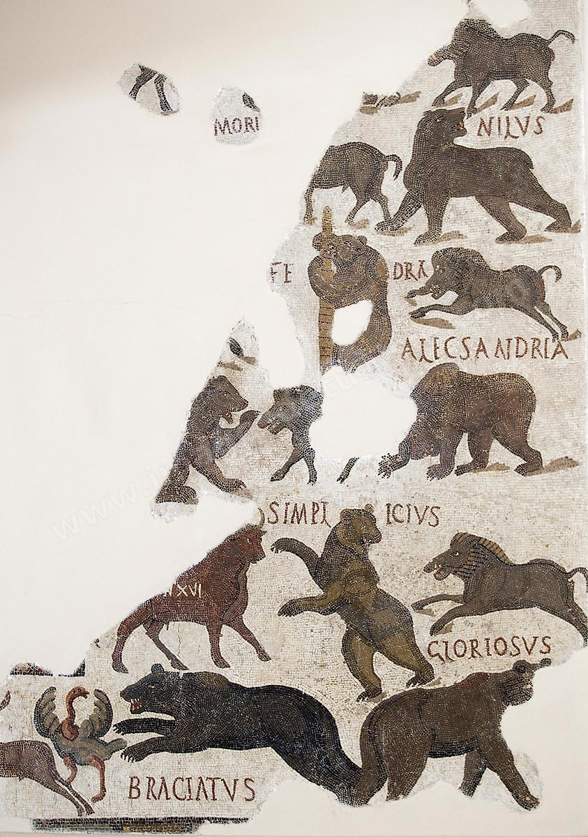 A14-113