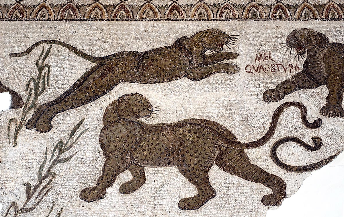 A14-125