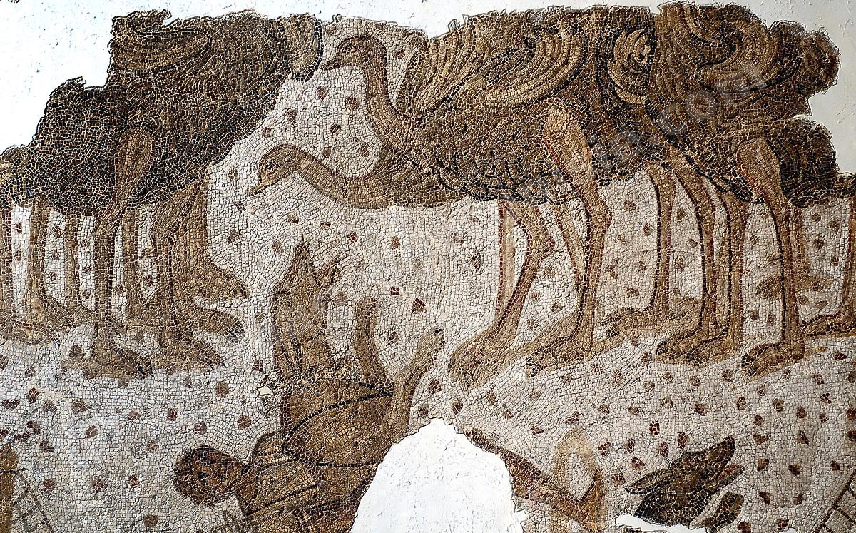 A14-126