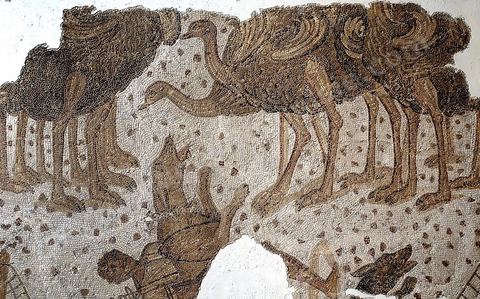 Mosaique du musee national du Bardo - Tunis