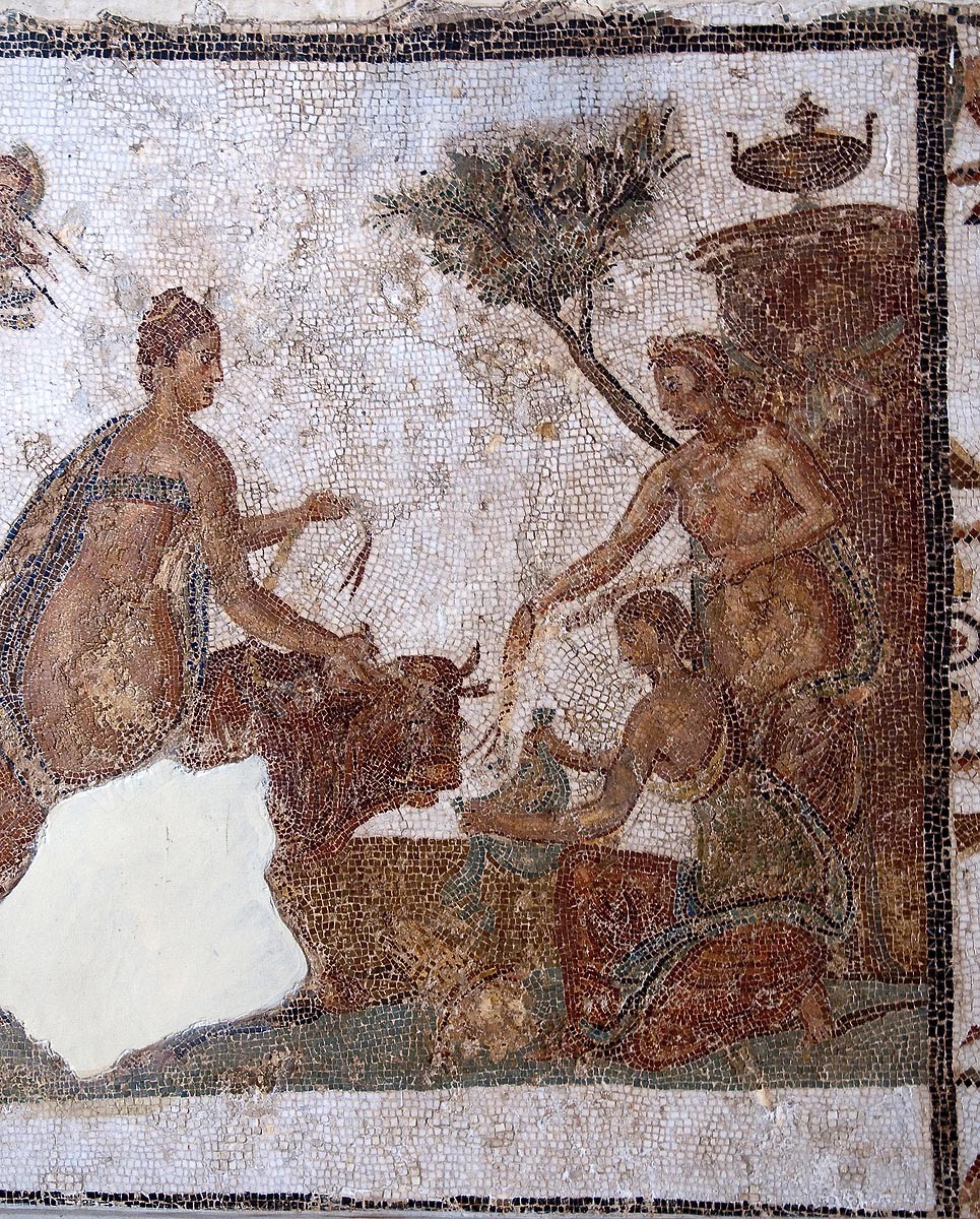 A14-288