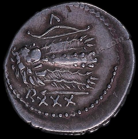 Monnaie d’argent représentant à l’avers le‑buste de Juba II, roi de Maurétanie (25‑av. J.-C. 24 ap. J.-C.), dont la tête est couverte d’une dépouille de lion. Un éléphant figure au revers. Cette monnaie porte des motifs africains traditionnels tel l’éléphant, et l’évocation d’Héraclès (dépouille de lion) rappelle la légende qui fait remonter la famille royale à Héraclès Melqart pour fonder et légitimer un culte royal à la manière hellénistique. section numide - musée du bardo