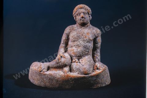 _DSF3769