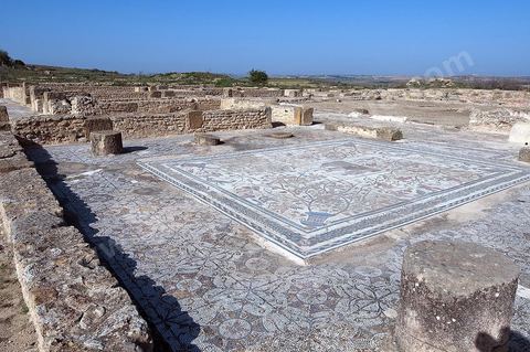 Maison avec pavement de mosaïque sur le site archéologique romain de Uthina / Oudna dans la région de Mornag banlieue sud de Tunis