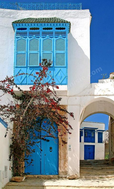 RuelleetpalaisaSidi Bou Said