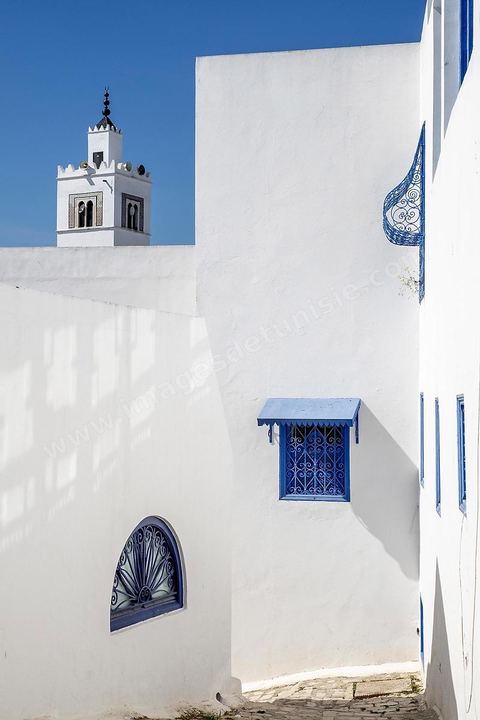 Ruelle de Sidi Bou Saïd
