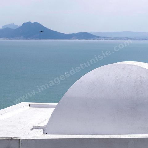 Coupole sur le golfe de Tunis. Sidi Bou Saïd sur les traces de Michel Foucault
