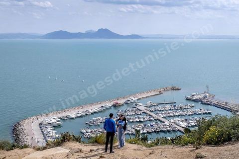 Vue sur le golfe. Sidi Bou Saïd sur les traces de Michel Foucault