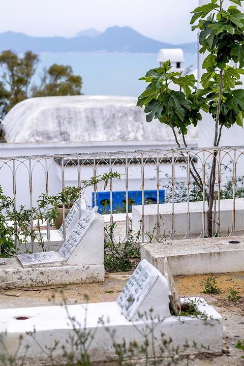 Le petit cimetière privé. Sidi Bou Saïd sur les traces de Michel Foucault
