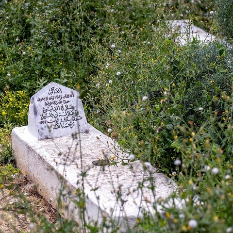 Le petit cimetière privé. Sidi Bou Saïd sur les traces de Michel Foucault