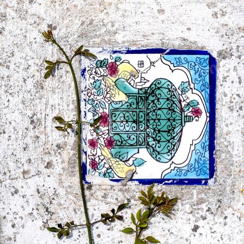 Cimetière. Sidi Bou Saïd sur les traces de Michel Foucault