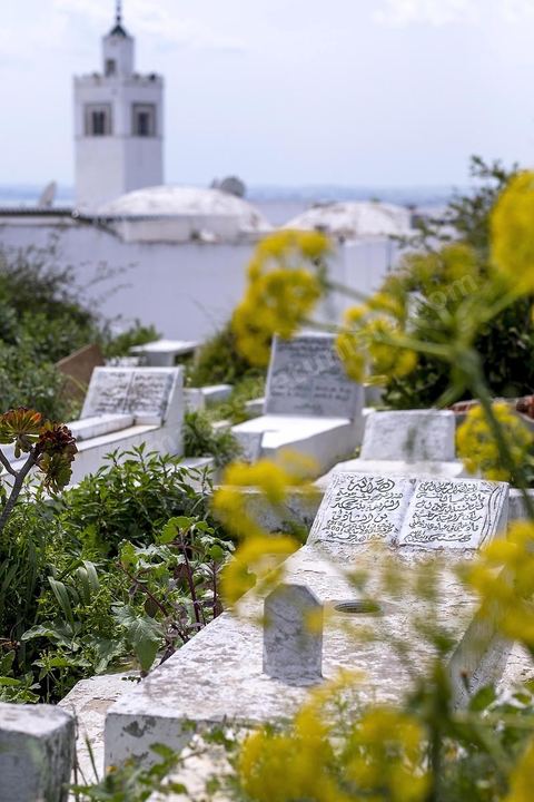 Cimetière. Sidi Bou Saïd sur les traces de Michel Foucault