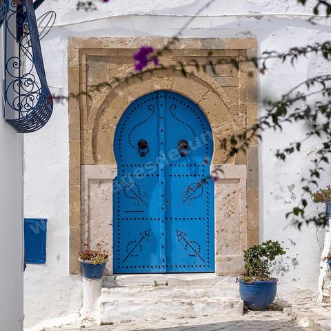 Portes. Sidi Bou Saïd sur les traces de Michel Foucault