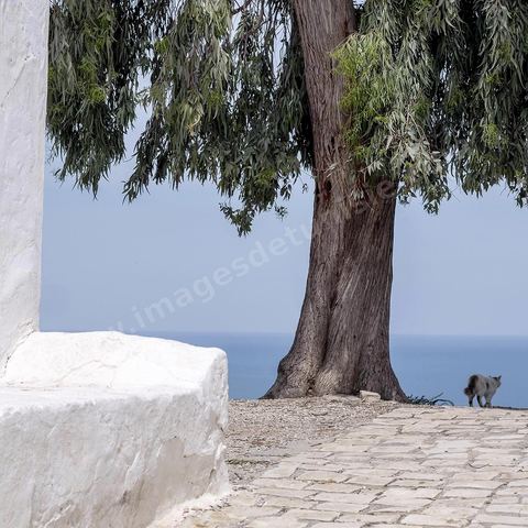 Banc devant l'entrée du cimetière. Sidi Bou Saïd sur les traces de Michel Foucault