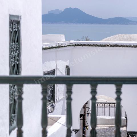 Mosquée. Sidi Bou Saïd sur les traces de Michel Foucault