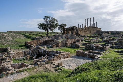 le site archéologique romain de Thuburbo Majus. Thuburbo Majus est située à l'entrée d'El Fahs à 60 km de Tunis, malgré qu’elle soit totalement abandonnée maintenant, elle comptait plus que 10000 habitants au deuxième siècle après J.C. La ville de Thuburbo Majus, existait avant l’arrivée des romains, elle était avant berbère puis carthaginoise. Pendant l’époque romaine, cette cité a connu une prospérité surtout en 128 quand elle reçut le statut de municipe suite à la visite de l’empereur Hadrien. La plupart des monuments de la cité datent de la moitié du 2ème siècle.Seuls 7 Ha sur les 40 Ha ont été fouillés, les trois portes de la ville indiquent son gigantisme.