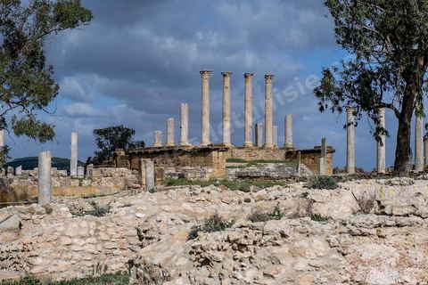 le site archéologique romain de Thuburbo Majus. Thuburbo Majus est située à l'entrée d'El Fahs à 60 km de Tunis, malgré qu’elle soit totalement abandonnée maintenant, elle comptait plus que 10000 habitants au deuxième siècle après J.C. La ville de Thuburbo Majus, existait avant l’arrivée des romains, elle était avant berbère puis carthaginoise. Pendant l’époque romaine, cette cité a connu une prospérité surtout en 128 quand elle reçut le statut de municipe suite à la visite de l’empereur Hadrien. La plupart des monuments de la cité datent de la moitié du 2ème siècle.Seuls 7 Ha sur les 40 Ha ont été fouillés, les trois portes de la ville indiquent son gigantisme.