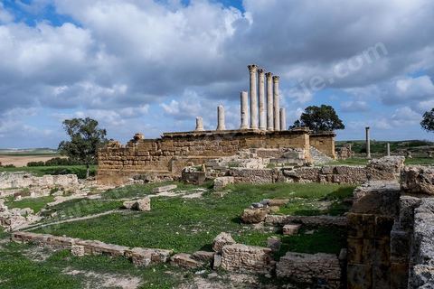 le site archéologique romain de Thuburbo Majus. Thuburbo Majus est située à l'entrée d'El Fahs à 60 km de Tunis, malgré qu’elle soit totalement abandonnée maintenant, elle comptait plus que 10000 habitants au deuxième siècle après J.C. La ville de Thuburbo Majus, existait avant l’arrivée des romains, elle était avant berbère puis carthaginoise. Pendant l’époque romaine, cette cité a connu une prospérité surtout en 128 quand elle reçut le statut de municipe suite à la visite de l’empereur Hadrien. La plupart des monuments de la cité datent de la moitié du 2ème siècle.Seuls 7 Ha sur les 40 Ha ont été fouillés, les trois portes de la ville indiquent son gigantisme.
