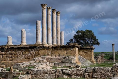 le site archéologique romain de Thuburbo Majus. Thuburbo Majus est située à l'entrée d'El Fahs à 60 km de Tunis, malgré qu’elle soit totalement abandonnée maintenant, elle comptait plus que 10000 habitants au deuxième siècle après J.C. La ville de Thuburbo Majus, existait avant l’arrivée des romains, elle était avant berbère puis carthaginoise. Pendant l’époque romaine, cette cité a connu une prospérité surtout en 128 quand elle reçut le statut de municipe suite à la visite de l’empereur Hadrien. La plupart des monuments de la cité datent de la moitié du 2ème siècle.Seuls 7 Ha sur les 40 Ha ont été fouillés, les trois portes de la ville indiquent son gigantisme.