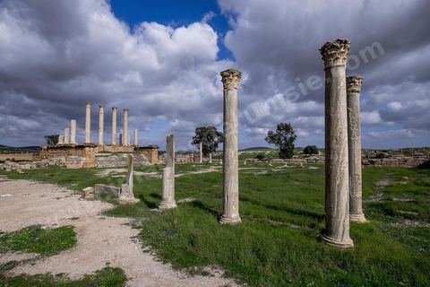le site archéologique romain de Thuburbo Majus. Thuburbo Majus est située à l'entrée d'El Fahs à 60 km de Tunis, malgré qu’elle soit totalement abandonnée maintenant, elle comptait plus que 10000 habitants au deuxième siècle après J.C. La ville de Thuburbo Majus, existait avant l’arrivée des romains, elle était avant berbère puis carthaginoise. Pendant l’époque romaine, cette cité a connu une prospérité surtout en 128 quand elle reçut le statut de municipe suite à la visite de l’empereur Hadrien. La plupart des monuments de la cité datent de la moitié du 2ème siècle.Seuls 7 Ha sur les 40 Ha ont été fouillés, les trois portes de la ville indiquent son gigantisme.