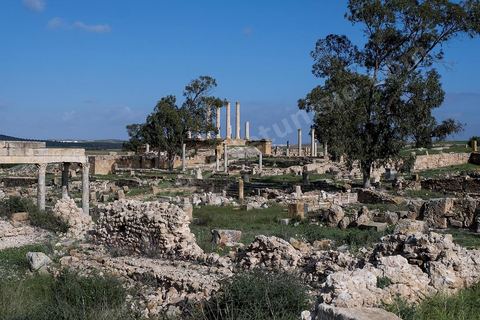 le site archéologique romain de Thuburbo Majus. Thuburbo Majus est située à l'entrée d'El Fahs à 60 km de Tunis, malgré qu’elle soit totalement abandonnée maintenant, elle comptait plus que 10000 habitants au deuxième siècle après J.C. La ville de Thuburbo Majus, existait avant l’arrivée des romains, elle était avant berbère puis carthaginoise. Pendant l’époque romaine, cette cité a connu une prospérité surtout en 128 quand elle reçut le statut de municipe suite à la visite de l’empereur Hadrien. La plupart des monuments de la cité datent de la moitié du 2ème siècle.Seuls 7 Ha sur les 40 Ha ont été fouillés, les trois portes de la ville indiquent son gigantisme.