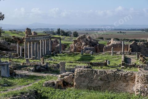 le site archéologique romain de Thuburbo Majus. Thuburbo Majus est située à l'entrée d'El Fahs à 60 km de Tunis, malgré qu’elle soit totalement abandonnée maintenant, elle comptait plus que 10000 habitants au deuxième siècle après J.C. La ville de Thuburbo Majus, existait avant l’arrivée des romains, elle était avant berbère puis carthaginoise. Pendant l’époque romaine, cette cité a connu une prospérité surtout en 128 quand elle reçut le statut de municipe suite à la visite de l’empereur Hadrien. La plupart des monuments de la cité datent de la moitié du 2ème siècle.Seuls 7 Ha sur les 40 Ha ont été fouillés, les trois portes de la ville indiquent son gigantisme.