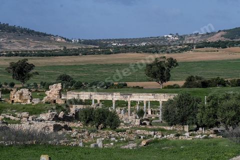 le site archéologique romain de Thuburbo Majus. Thuburbo Majus est située à l'entrée d'El Fahs à 60 km de Tunis, malgré qu’elle soit totalement abandonnée maintenant, elle comptait plus que 10000 habitants au deuxième siècle après J.C. La ville de Thuburbo Majus, existait avant l’arrivée des romains, elle était avant berbère puis carthaginoise. Pendant l’époque romaine, cette cité a connu une prospérité surtout en 128 quand elle reçut le statut de municipe suite à la visite de l’empereur Hadrien. La plupart des monuments de la cité datent de la moitié du 2ème siècle.Seuls 7 Ha sur les 40 Ha ont été fouillés, les trois portes de la ville indiquent son gigantisme.
