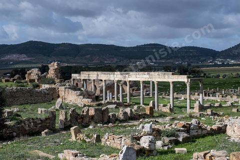 le site archéologique romain de Thuburbo Majus. Thuburbo Majus est située à l'entrée d'El Fahs à 60 km de Tunis, malgré qu’elle soit totalement abandonnée maintenant, elle comptait plus que 10000 habitants au deuxième siècle après J.C. La ville de Thuburbo Majus, existait avant l’arrivée des romains, elle était avant berbère puis carthaginoise. Pendant l’époque romaine, cette cité a connu une prospérité surtout en 128 quand elle reçut le statut de municipe suite à la visite de l’empereur Hadrien. La plupart des monuments de la cité datent de la moitié du 2ème siècle.Seuls 7 Ha sur les 40 Ha ont été fouillés, les trois portes de la ville indiquent son gigantisme.