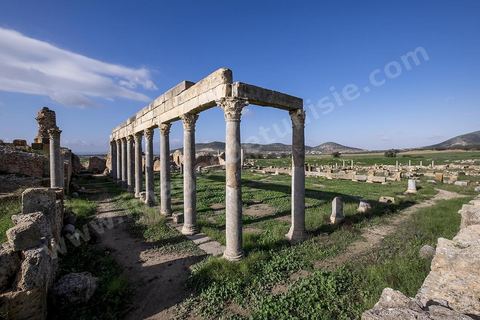 le site archéologique romain de Thuburbo Majus. Thuburbo Majus est située à l'entrée d'El Fahs à 60 km de Tunis, malgré qu’elle soit totalement abandonnée maintenant, elle comptait plus que 10000 habitants au deuxième siècle après J.C. La ville de Thuburbo Majus, existait avant l’arrivée des romains, elle était avant berbère puis carthaginoise. Pendant l’époque romaine, cette cité a connu une prospérité surtout en 128 quand elle reçut le statut de municipe suite à la visite de l’empereur Hadrien. La plupart des monuments de la cité datent de la moitié du 2ème siècle.Seuls 7 Ha sur les 40 Ha ont été fouillés, les trois portes de la ville indiquent son gigantisme.