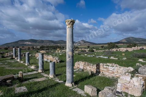 le site archéologique romain de Thuburbo Majus. Thuburbo Majus est située à l'entrée d'El Fahs à 60 km de Tunis, malgré qu’elle soit totalement abandonnée maintenant, elle comptait plus que 10000 habitants au deuxième siècle après J.C. La ville de Thuburbo Majus, existait avant l’arrivée des romains, elle était avant berbère puis carthaginoise. Pendant l’époque romaine, cette cité a connu une prospérité surtout en 128 quand elle reçut le statut de municipe suite à la visite de l’empereur Hadrien. La plupart des monuments de la cité datent de la moitié du 2ème siècle.Seuls 7 Ha sur les 40 Ha ont été fouillés, les trois portes de la ville indiquent son gigantisme.