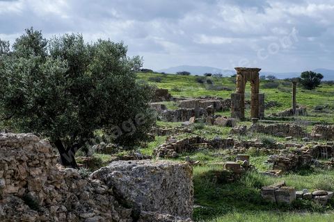 le site archéologique romain de Thuburbo Majus. Thuburbo Majus est située à l'entrée d'El Fahs à 60 km de Tunis, malgré qu’elle soit totalement abandonnée maintenant, elle comptait plus que 10000 habitants au deuxième siècle après J.C. La ville de Thuburbo Majus, existait avant l’arrivée des romains, elle était avant berbère puis carthaginoise. Pendant l’époque romaine, cette cité a connu une prospérité surtout en 128 quand elle reçut le statut de municipe suite à la visite de l’empereur Hadrien. La plupart des monuments de la cité datent de la moitié du 2ème siècle.Seuls 7 Ha sur les 40 Ha ont été fouillés, les trois portes de la ville indiquent son gigantisme.