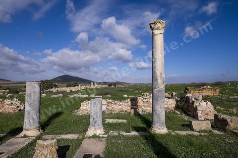 le site archéologique romain de Thuburbo Majus. Thuburbo Majus est située à l'entrée d'El Fahs à 60 km de Tunis, malgré qu’elle soit totalement abandonnée maintenant, elle comptait plus que 10000 habitants au deuxième siècle après J.C. La ville de Thuburbo Majus, existait avant l’arrivée des romains, elle était avant berbère puis carthaginoise. Pendant l’époque romaine, cette cité a connu une prospérité surtout en 128 quand elle reçut le statut de municipe suite à la visite de l’empereur Hadrien. La plupart des monuments de la cité datent de la moitié du 2ème siècle.Seuls 7 Ha sur les 40 Ha ont été fouillés, les trois portes de la ville indiquent son gigantisme.