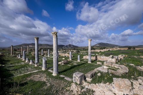 le site archéologique romain de Thuburbo Majus. Thuburbo Majus est située à l'entrée d'El Fahs à 60 km de Tunis, malgré qu’elle soit totalement abandonnée maintenant, elle comptait plus que 10000 habitants au deuxième siècle après J.C. La ville de Thuburbo Majus, existait avant l’arrivée des romains, elle était avant berbère puis carthaginoise. Pendant l’époque romaine, cette cité a connu une prospérité surtout en 128 quand elle reçut le statut de municipe suite à la visite de l’empereur Hadrien. La plupart des monuments de la cité datent de la moitié du 2ème siècle.Seuls 7 Ha sur les 40 Ha ont été fouillés, les trois portes de la ville indiquent son gigantisme.