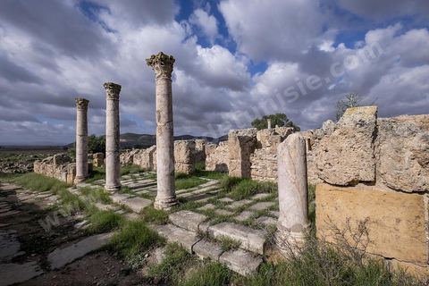 le site archéologique romain de Thuburbo Majus. Thuburbo Majus est située à l'entrée d'El Fahs à 60 km de Tunis, malgré qu’elle soit totalement abandonnée maintenant, elle comptait plus que 10000 habitants au deuxième siècle après J.C. La ville de Thuburbo Majus, existait avant l’arrivée des romains, elle était avant berbère puis carthaginoise. Pendant l’époque romaine, cette cité a connu une prospérité surtout en 128 quand elle reçut le statut de municipe suite à la visite de l’empereur Hadrien. La plupart des monuments de la cité datent de la moitié du 2ème siècle.Seuls 7 Ha sur les 40 Ha ont été fouillés, les trois portes de la ville indiquent son gigantisme.
