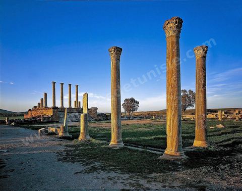 le site archéologique romain de Thuburbo Majus. Thuburbo Majus est située à l'entrée d'El Fahs à 60 km de Tunis, malgré qu’elle soit totalement abandonnée maintenant, elle comptait plus que 10000 habitants au deuxième siècle après J.C. La ville de Thuburbo Majus, existait avant l’arrivée des romains, elle était avant berbère puis carthaginoise. Pendant l’époque romaine, cette cité a connu une prospérité surtout en 128 quand elle reçut le statut de municipe suite à la visite de l’empereur Hadrien. La plupart des monuments de la cité datent de la moitié du 2ème siècle.Seuls 7 Ha sur les 40 Ha ont été fouillés, les trois portes de la ville indiquent son gigantisme.