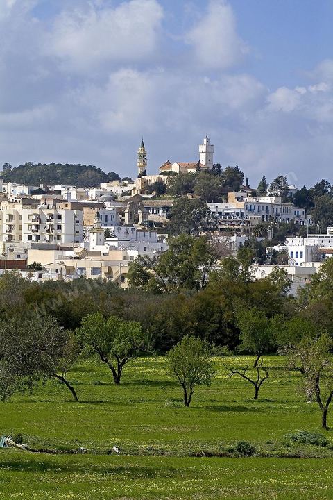 Zaghouan est une ville agricole d'origine romaine (Ziqua) construite au pied du Jebel Zaghouan (1295 m) et riche en fontaines d'eau de source. C'est une charmante petite médina agrippée aux flancs du relief boisé. L’architecture sacrée y reflète de profondes influences andalouses puisqu’une communauté de réfugiés andalous s’y installa au XVII° siècle. 