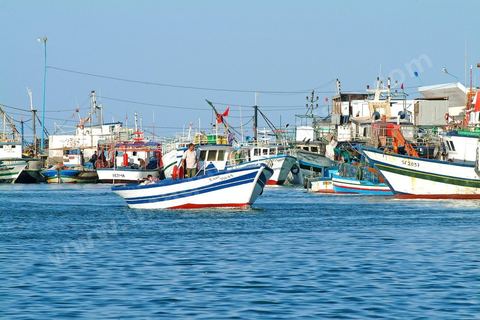 Port de pêche de Zarzis