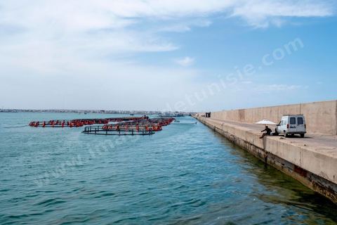 port de Zarzis