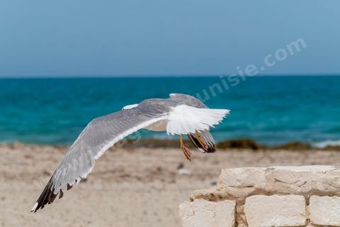 Plage à Zarzis